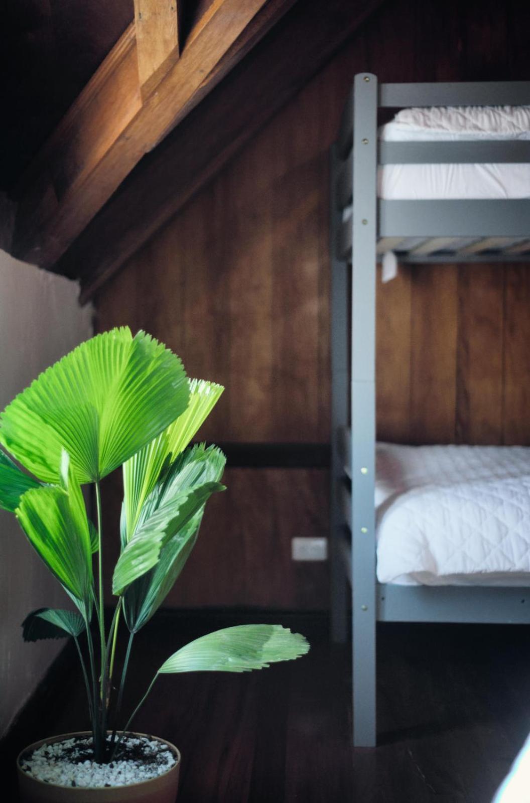 Hostal Don Cenobio Flores Kültér fotó